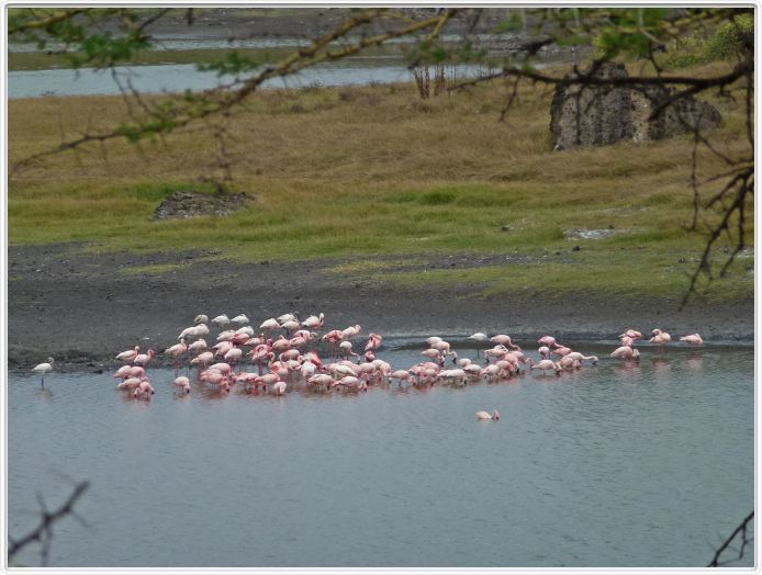 Parc National Arusha