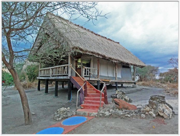 Roika Tarangire Tented Lodge
