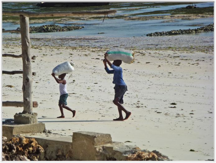 Zanzibar
