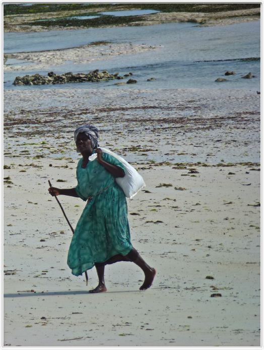 Zanzibar