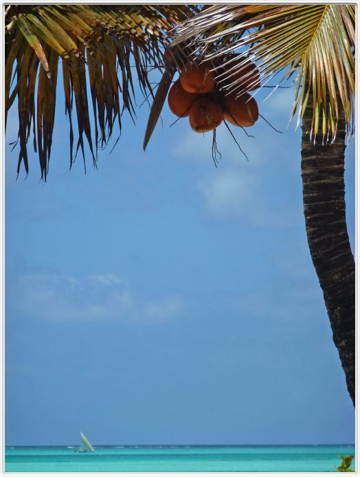 Zanzibar