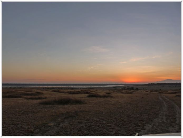 Safari matinal dans la région du Lac Ndutu