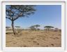 Ndutu Safari Lodge
