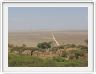 Halte à l'entrée du Serengeti National Park